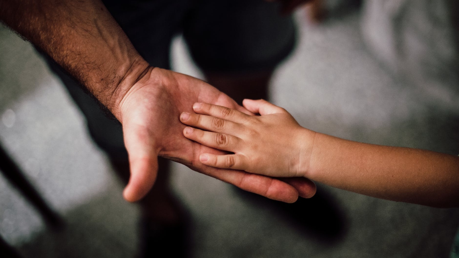 father and child s hands together