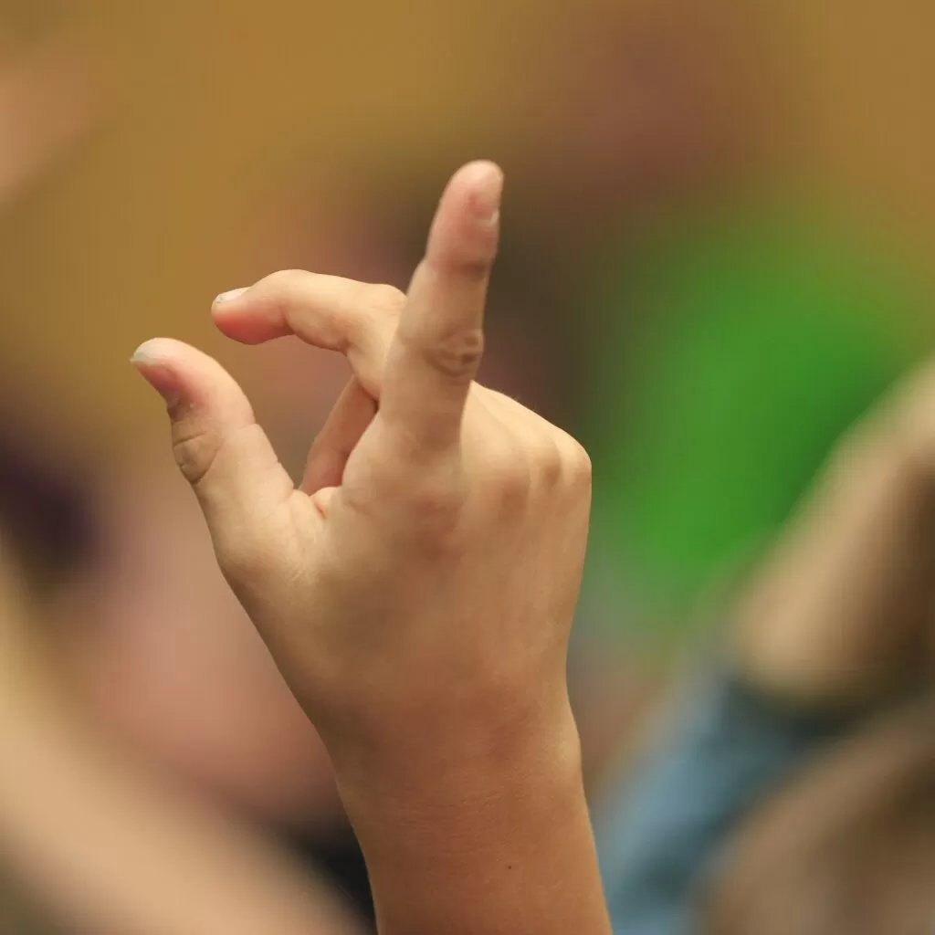 Close-up of a child's hands making a crossed-fingers gesture against a blurred crowd background.